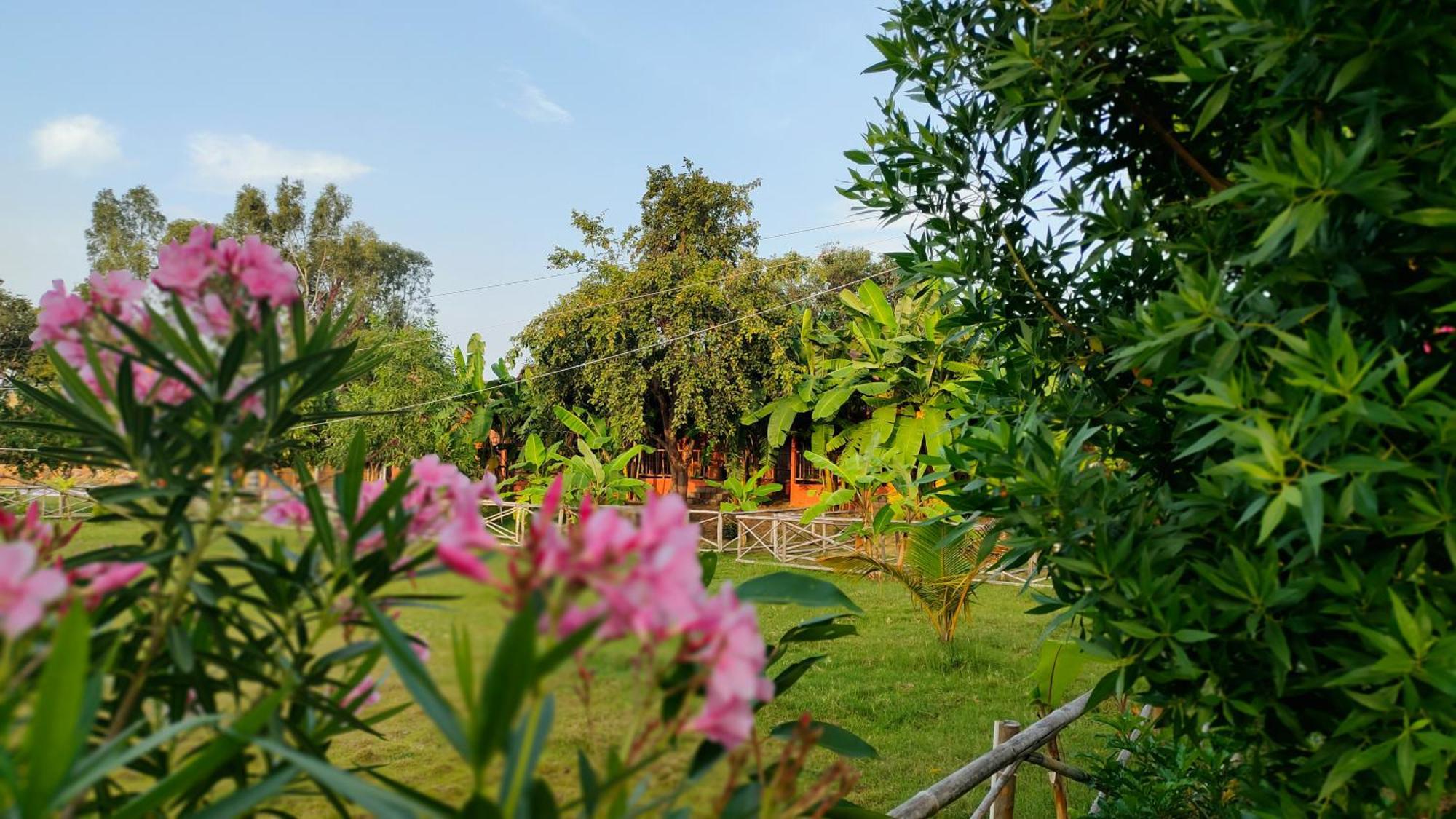 Waterfall Guesthouse Hampi Zewnętrze zdjęcie